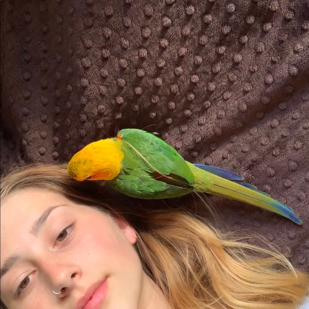 Meet your Posher, Emma